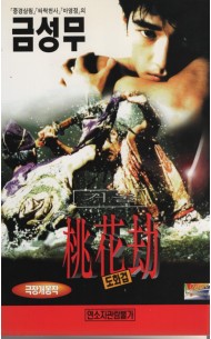 금성무의 거울 : 도화겁